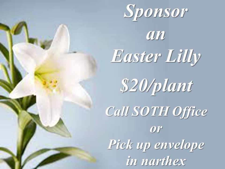 Easter Lily.jpg